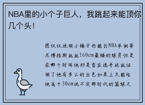NBA里的小个子巨人，我跳起来能顶你几个头！